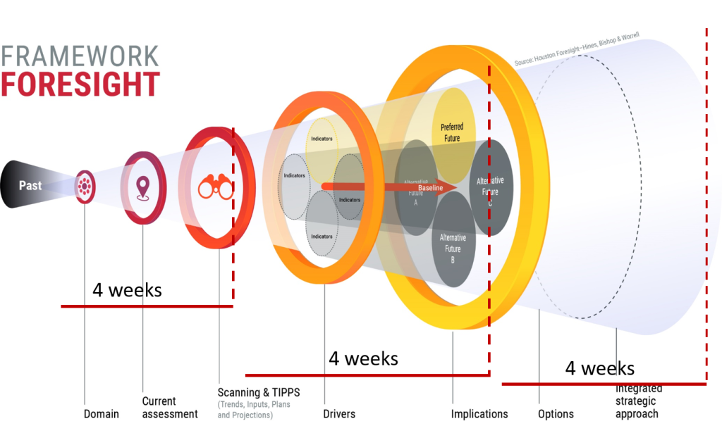 graphic highlights the key steps and timeframe of foresight scanning